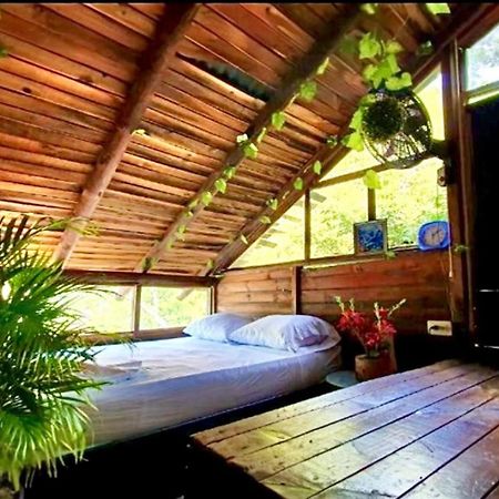 Tamarindo Beach Hostel Taganga Ngoại thất bức ảnh