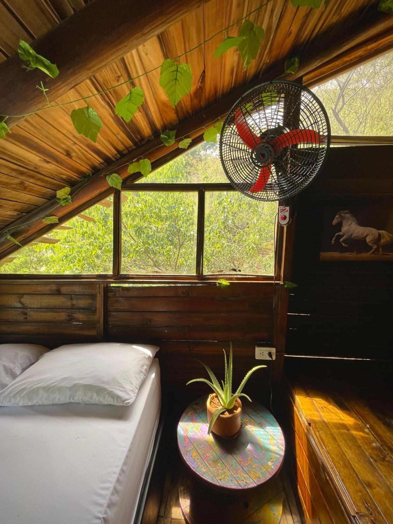 Tamarindo Beach Hostel Taganga Ngoại thất bức ảnh