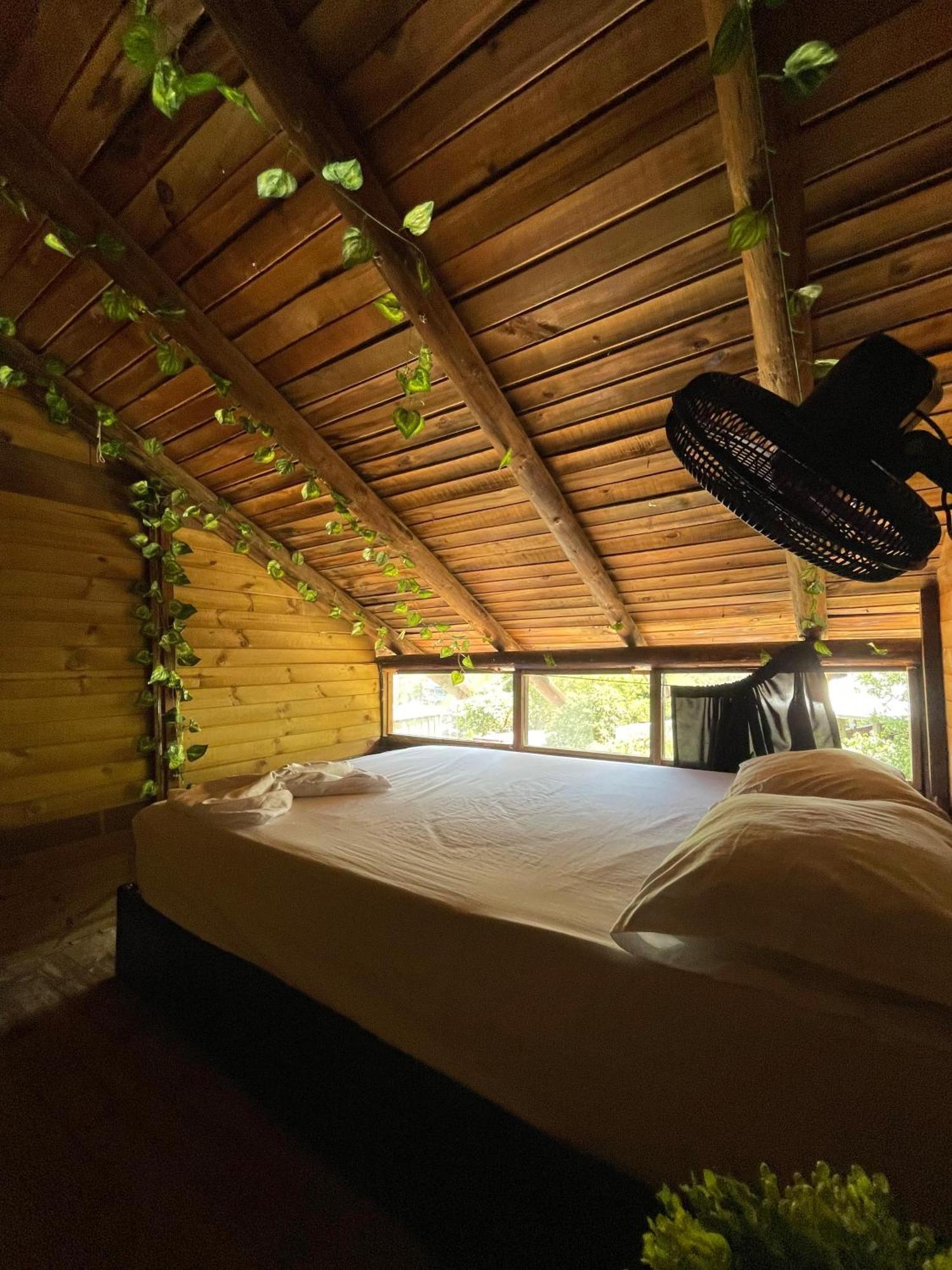 Tamarindo Beach Hostel Taganga Ngoại thất bức ảnh