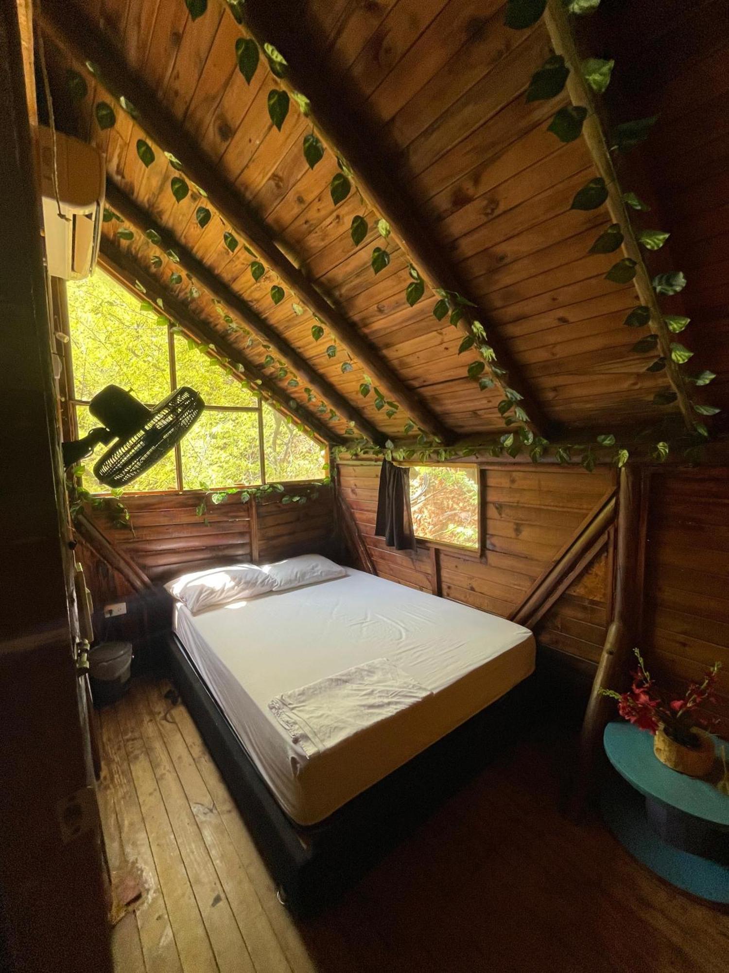 Tamarindo Beach Hostel Taganga Ngoại thất bức ảnh