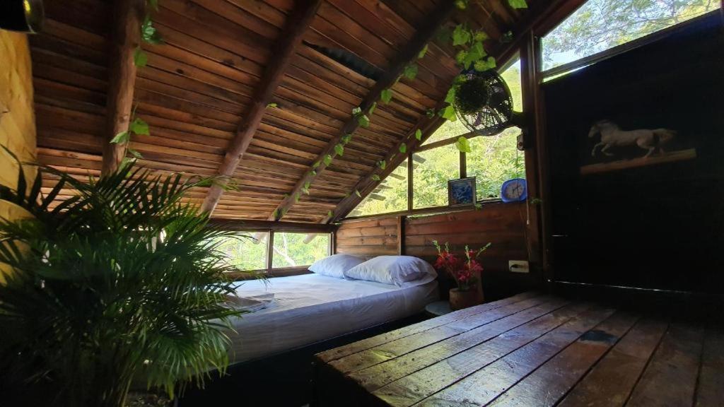 Tamarindo Beach Hostel Taganga Ngoại thất bức ảnh