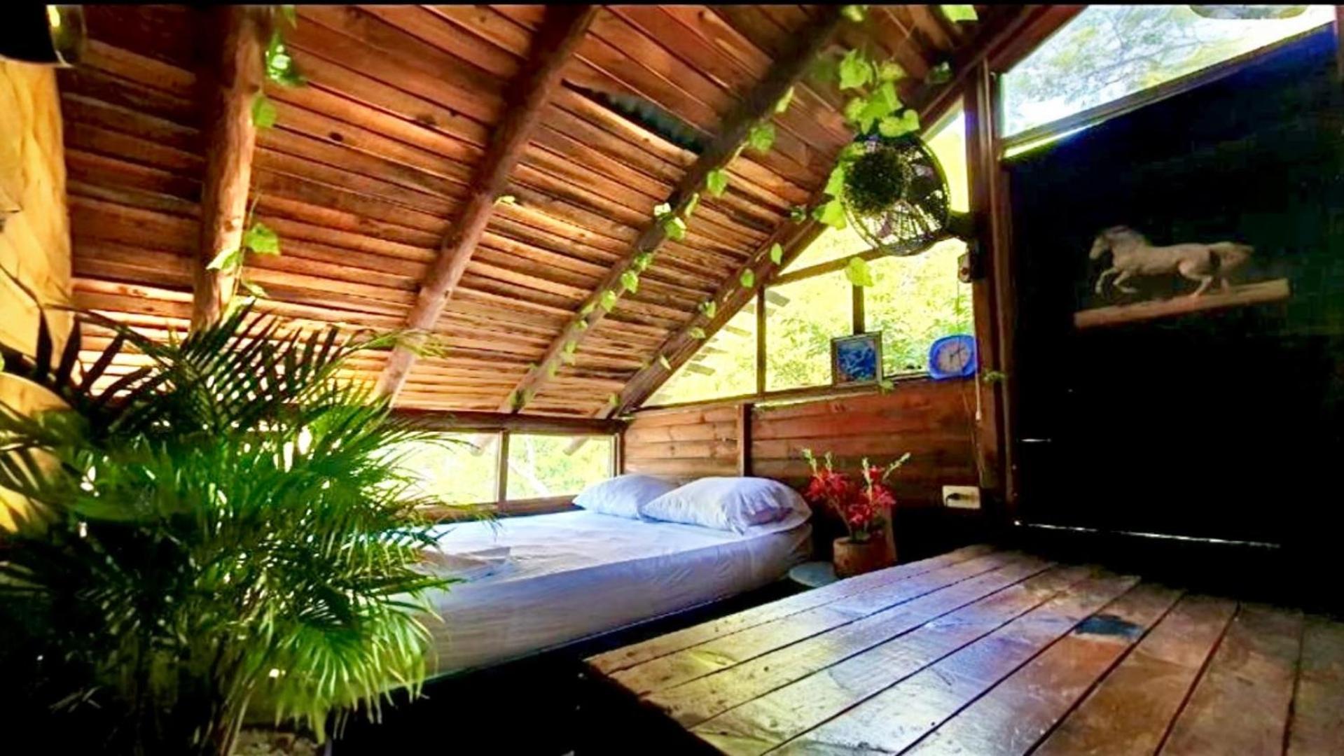 Tamarindo Beach Hostel Taganga Ngoại thất bức ảnh