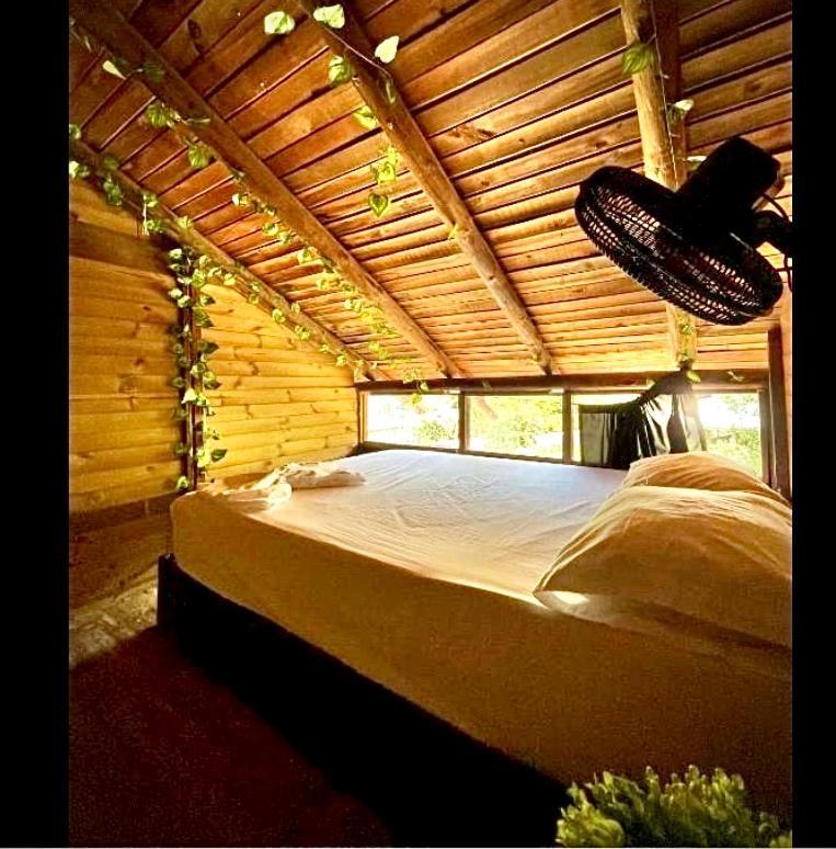 Tamarindo Beach Hostel Taganga Ngoại thất bức ảnh